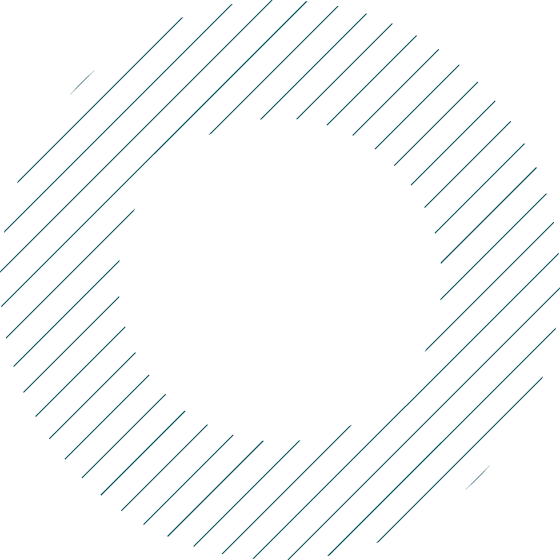 MonitrexPRO - Revealing the Distributed Essence of MonitrexPRO